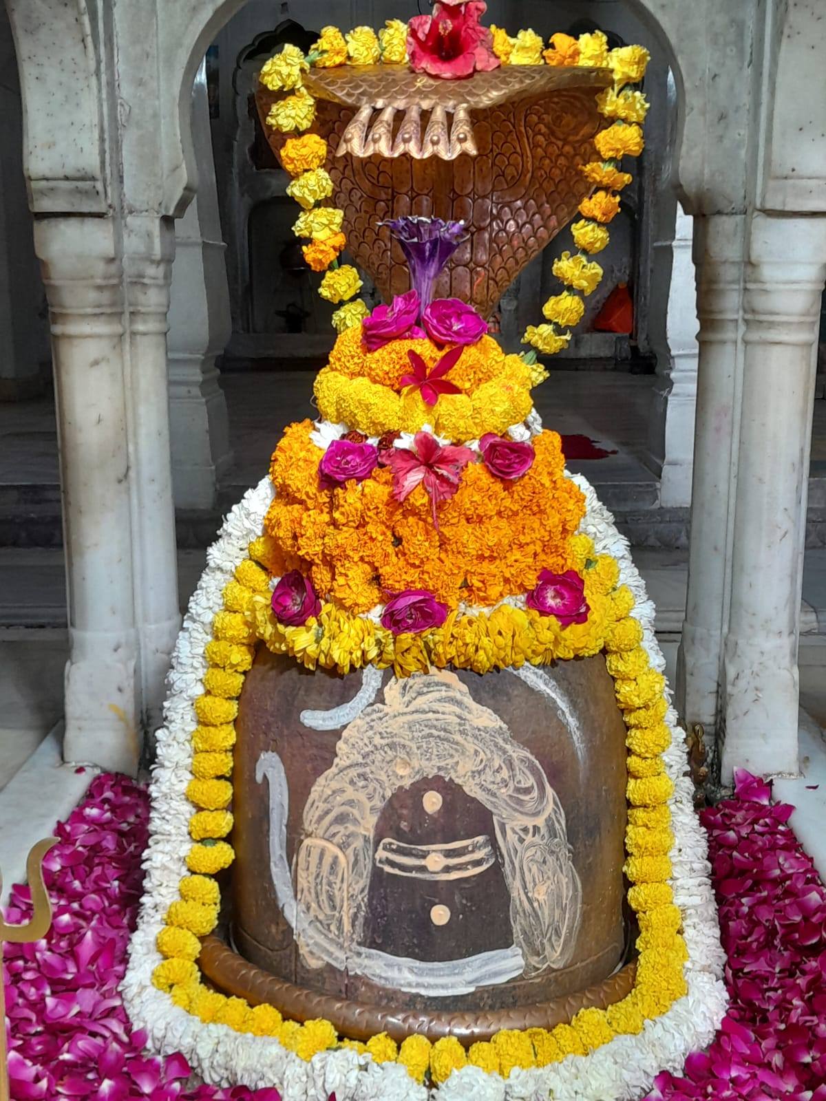 daiy darshan