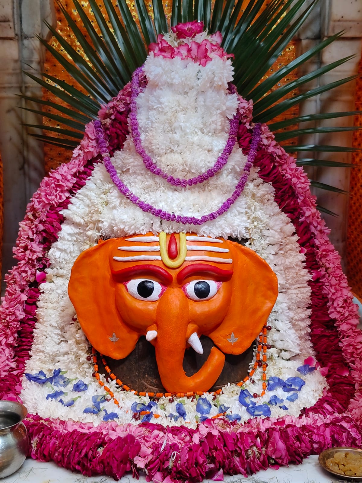 daiy darshan