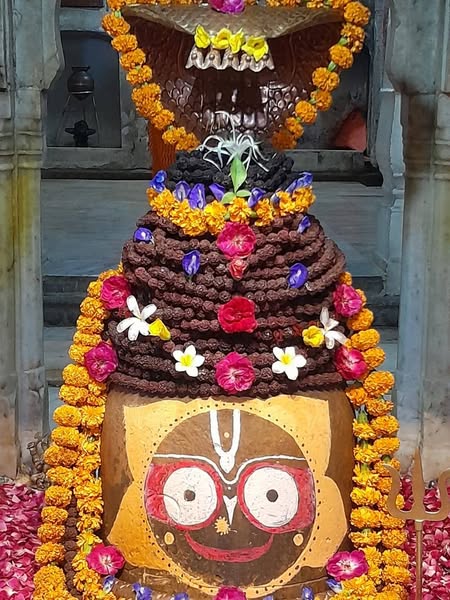 daiy darshan