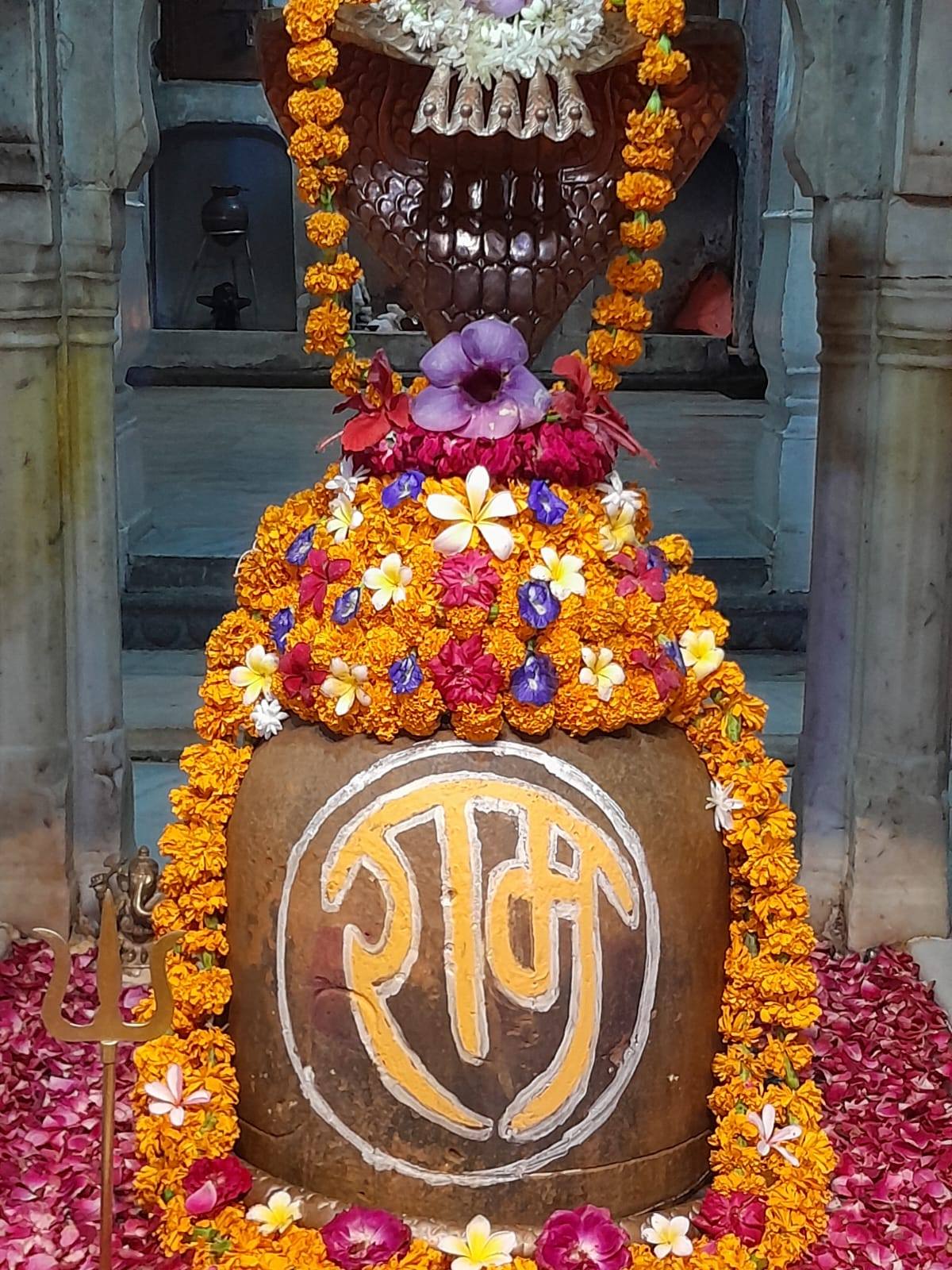 daiy darshan
